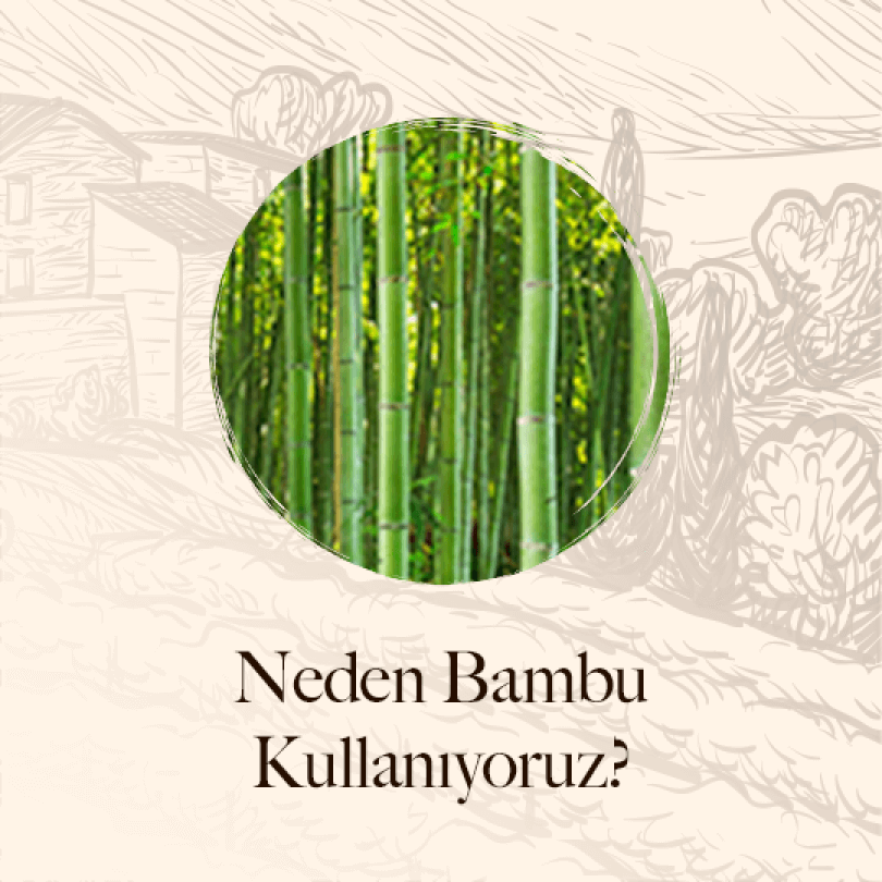 neden-bambu-kullaniyoruz-b9d3
