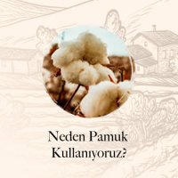 neden-pamuk-kullaniyoruz-80b6